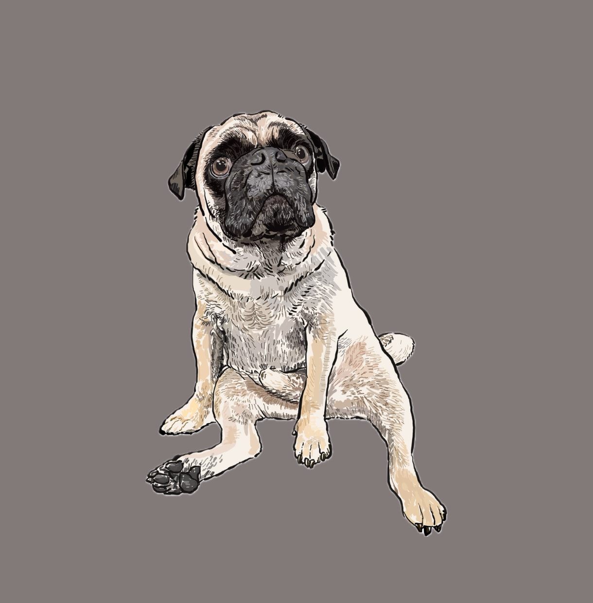 写真から犬の似顔絵を描きます お気に入りの表情の「ワンちゃんの写真」から似顔絵を描きます イメージ2