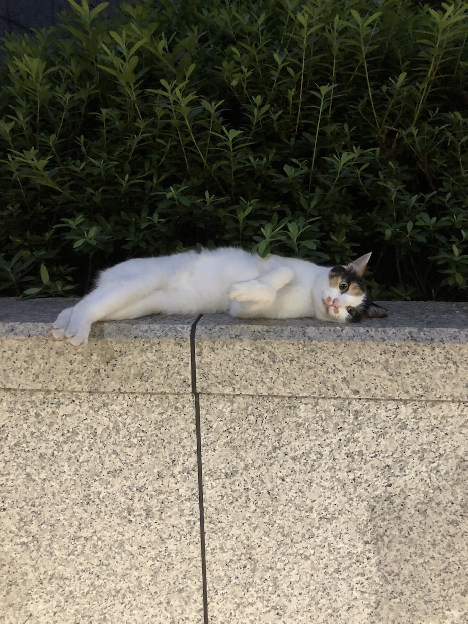あなたの愚痴の吐きどころになります。ます 気持ちが楽になれるよう一生懸命あなたのお話しを聞きます。 イメージ2