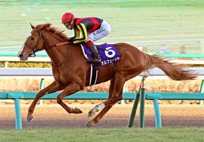 競馬に興味がある方必見！競馬の楽しみ方を教えます 競馬場の楽しみ方から、馬券の買い方、予想のやり方を教えます！ イメージ1