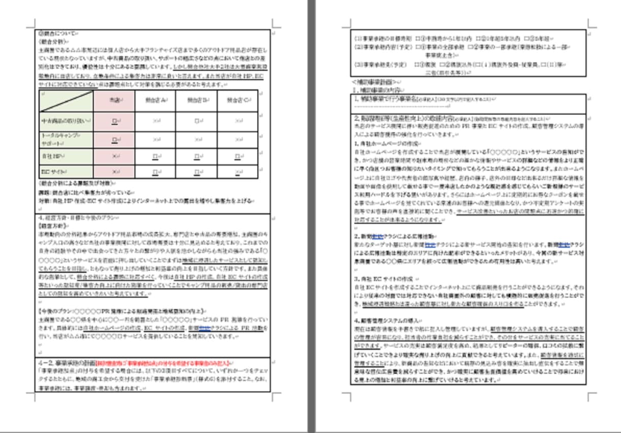 キャンプ用品店★持続化補助金採択書類をお譲りします 採択済み事業計画書を【テンプレート】としても利用できます！ イメージ4