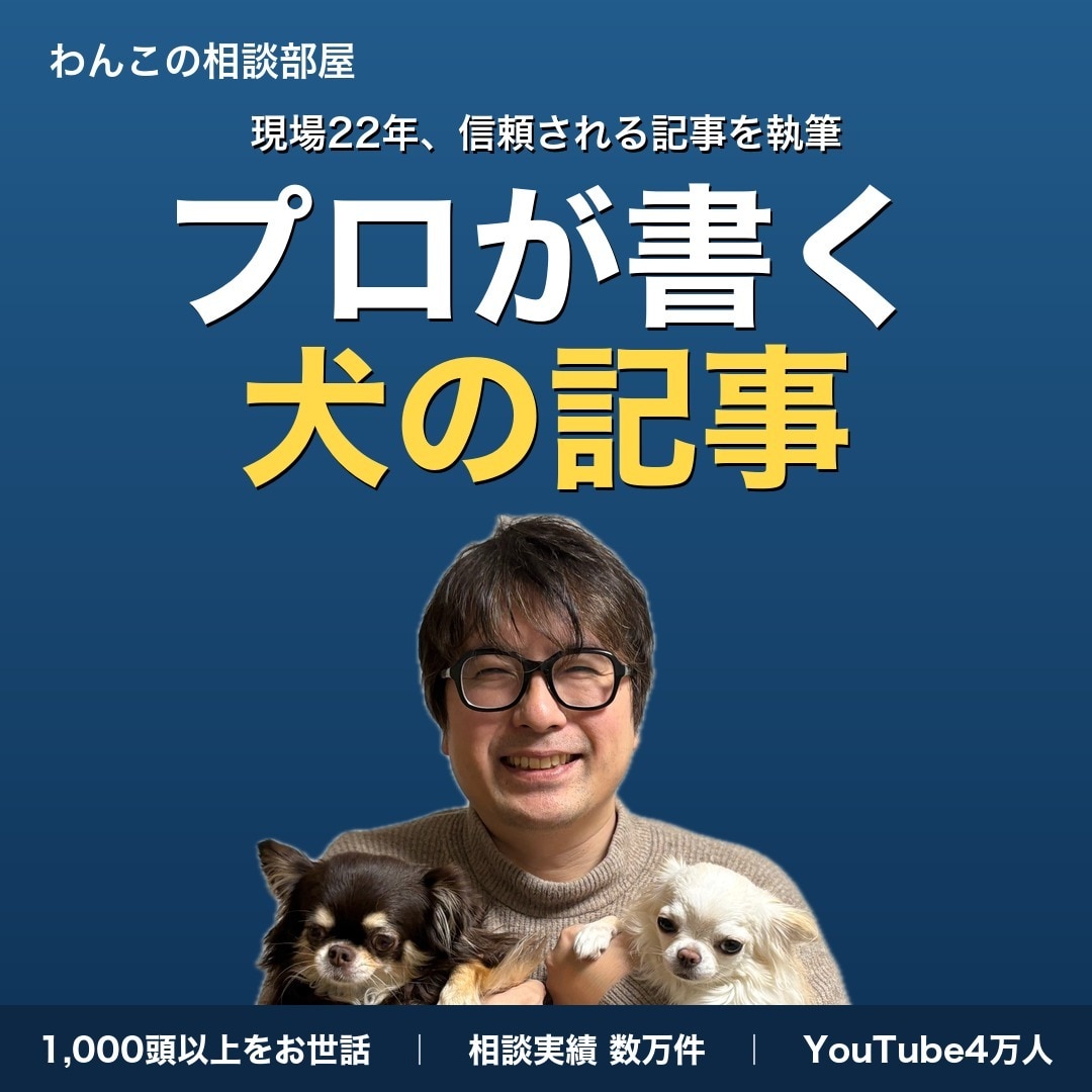 ペット業界22年のプロが犬に関する記事を執筆します 業界の裏側を知るプロが本音で書く犬の記事 イメージ1