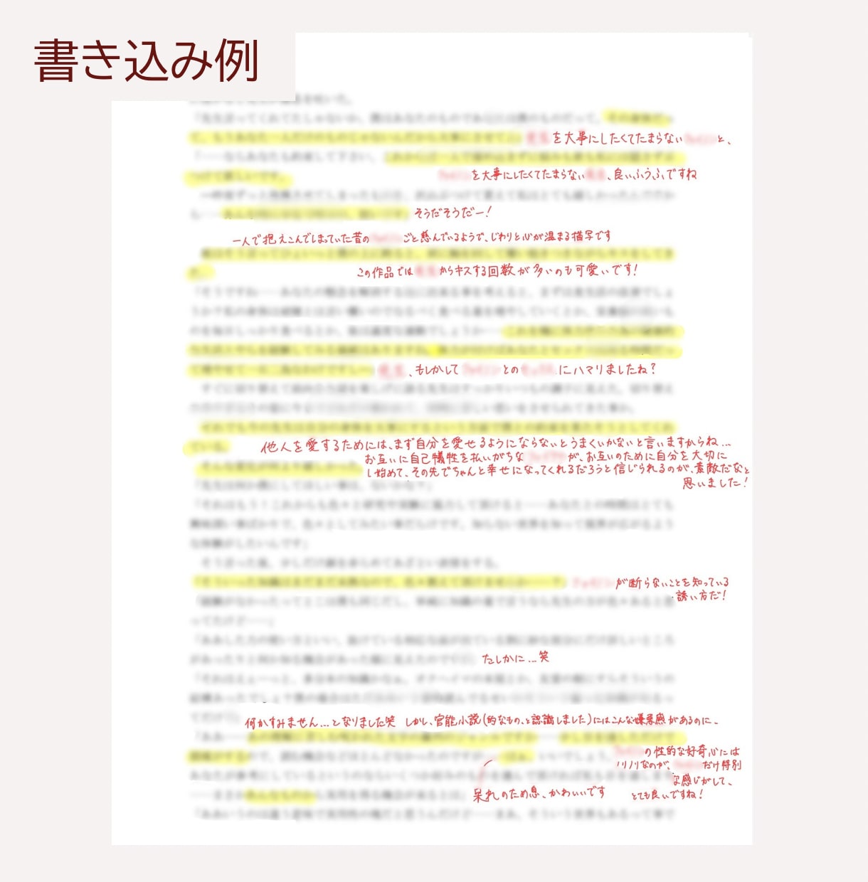 女性向け一次・二次創作小説の感想を書き込みます マーカー引き、書き込みPDFの納品！優しさレベル各種対応可能 イメージ3