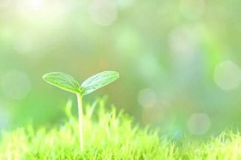 心のモヤモヤ、愚痴などお気軽にご相談に乗ります 虐待、いじめ、登校拒否、引きこもり、睡眠障害、うつ病経験あり イメージ4