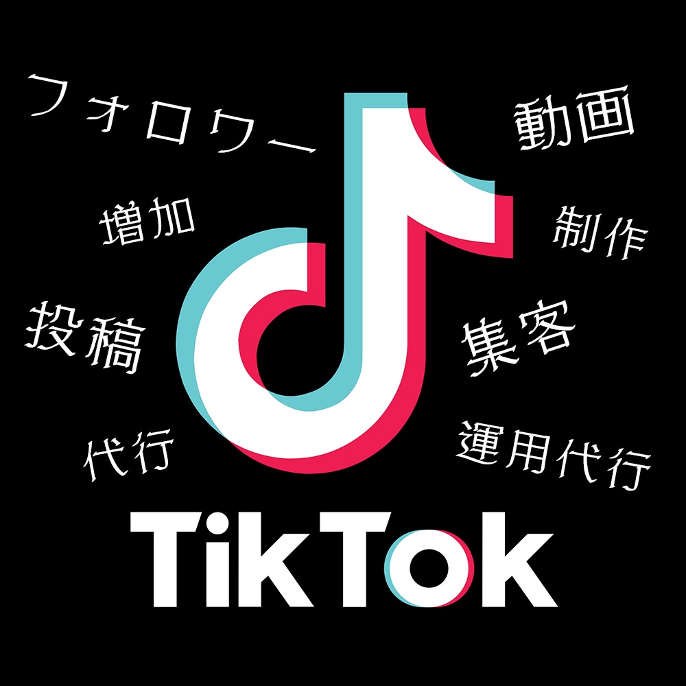 TikTok｜動画制作～集客運用までサポートします トータルサポートから必要な時に必要なサポートまで魂を込めて イメージ1