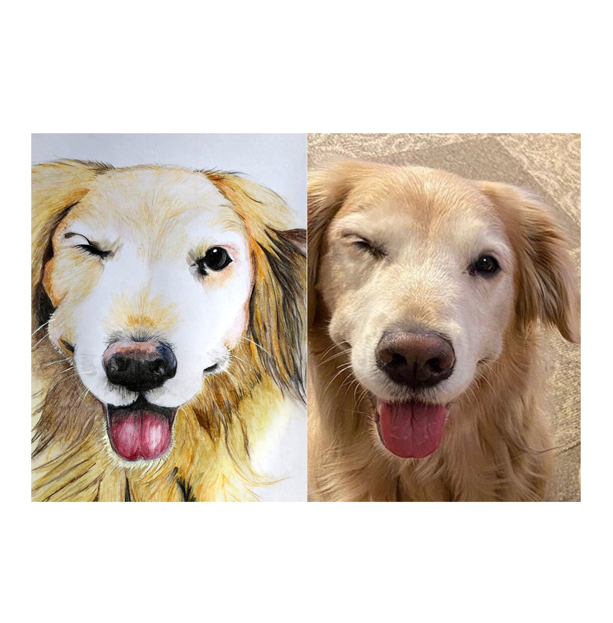 色鉛筆で手書きの愛犬との特別な瞬間を描きます 世界でたった1枚の宝物をアートとして残しませんか？ イメージ2