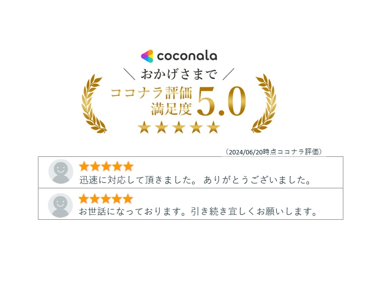 100社以上の支援実績のプロがEC広告運用します モール店舗をお持ちの方におすすめです。複数人で対応致します。 イメージ3