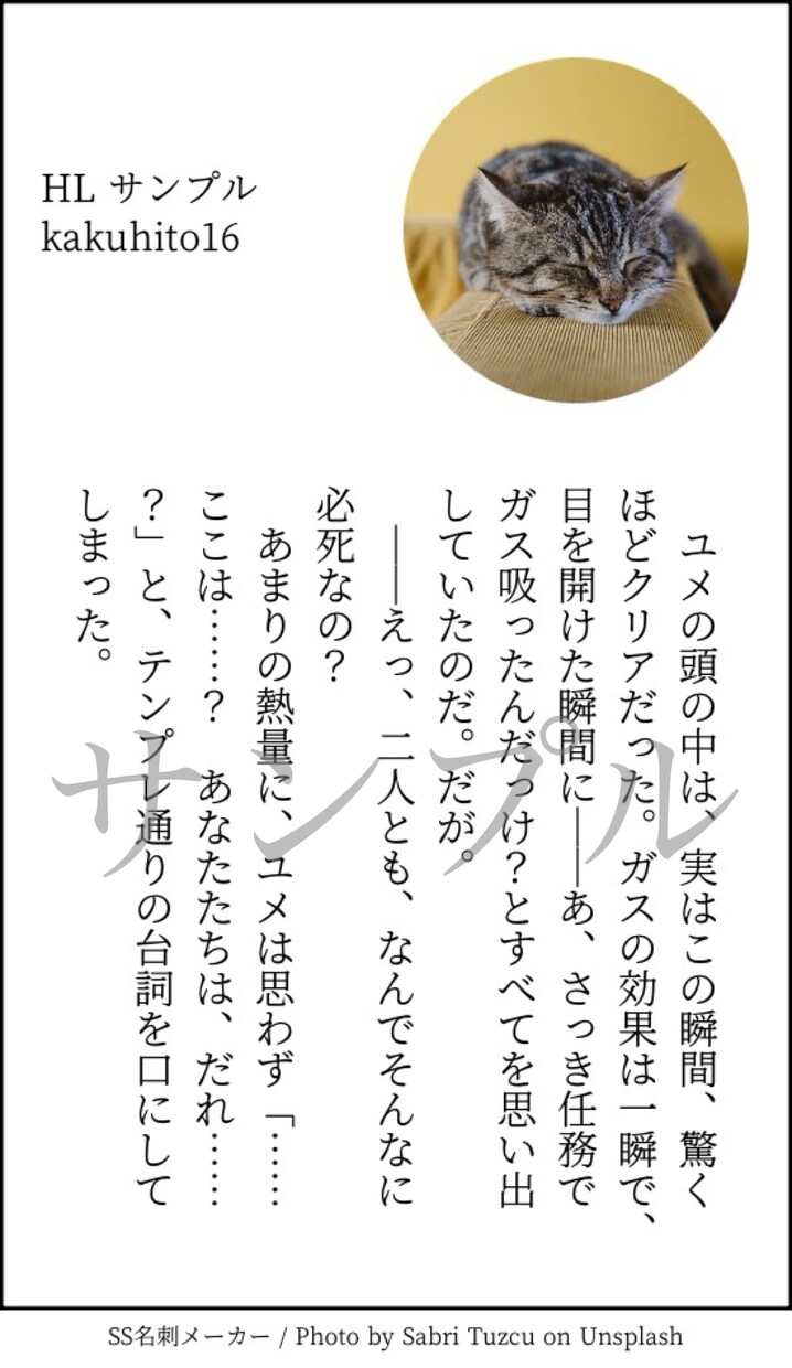 オンリーワンの小説お受けします 夢小説/創作小説など執筆します イメージ5