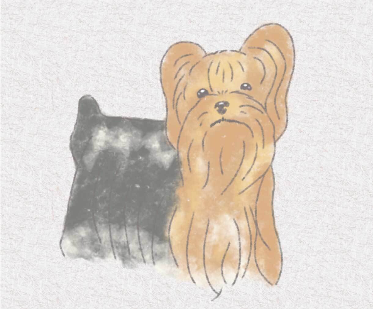 世界にひとつのうちの子似顔絵制作します 愛犬・愛猫・小動物OK、優しいタッチで大切な子をイラストに イメージ6
