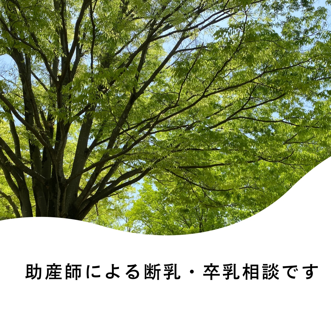 助産師が断乳・卒乳のご相談お受けします アドバンス助産師・IBCLCによる電話相談です イメージ1