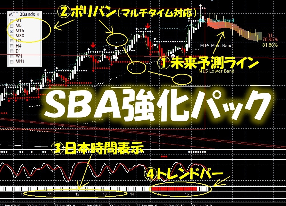 sba進化版+強化パックを販売します sba通常版のみお待ちの方で完全版にしたい方はこちら イメージ1