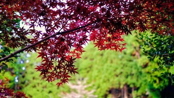 強烈な便秘を解消する方法を伝授します 一般的に言われるような方法では全く効果が出ない方へ。 イメージ1