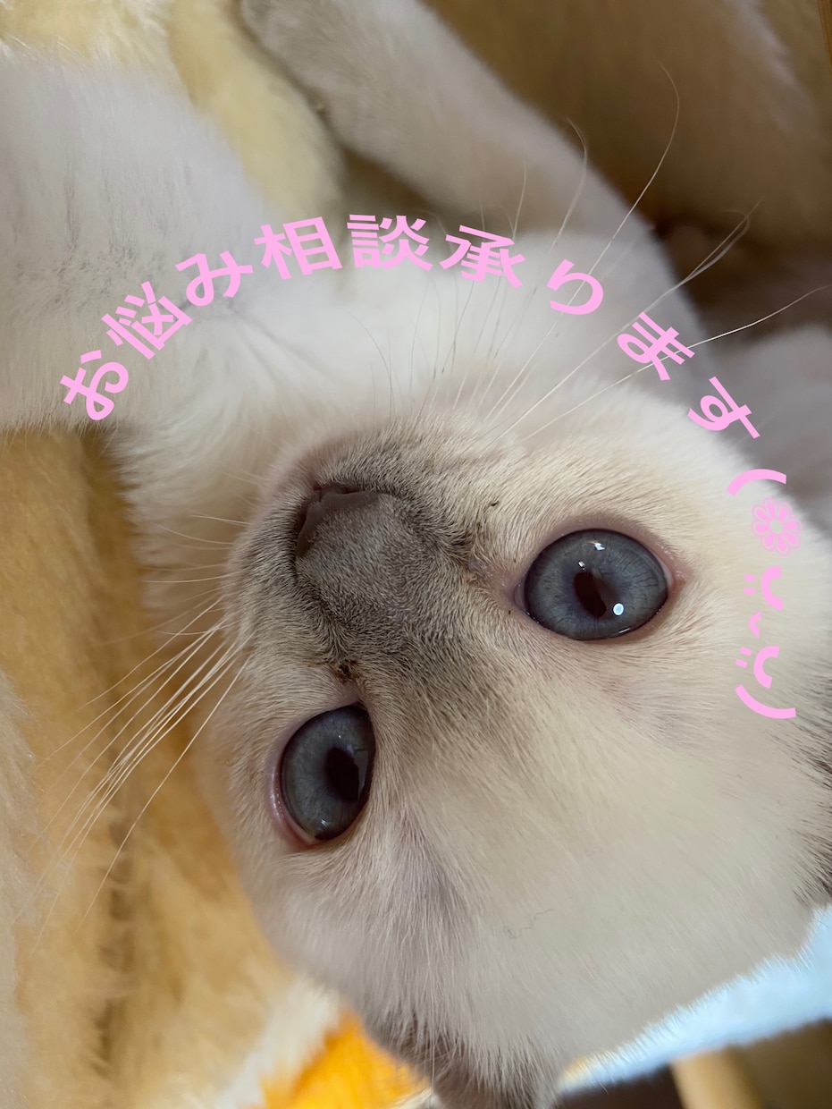 なんでもお話ききます お悩み相談よく受けるのでぜひお悩みお聞かせください イメージ1