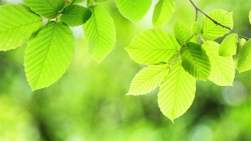 前世の職業比率より、使命、願望、目的をお伝えします パーセンテージでお伝え。前世の職業傾向、現世の使命について。 イメージ2