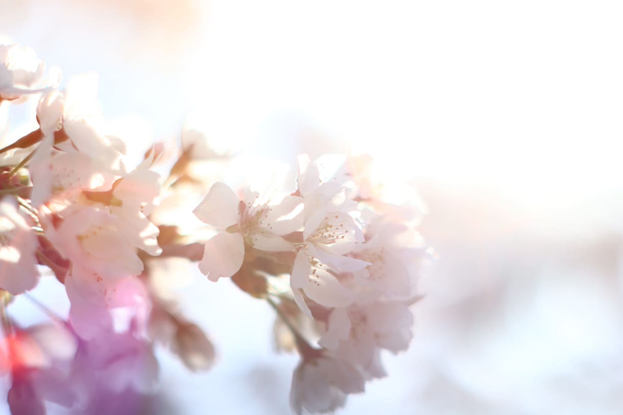 あなたが欲しい写真・素材提供します イメージ写真としてこういう写真があったらな〜と思ったらぜひ！ イメージ1