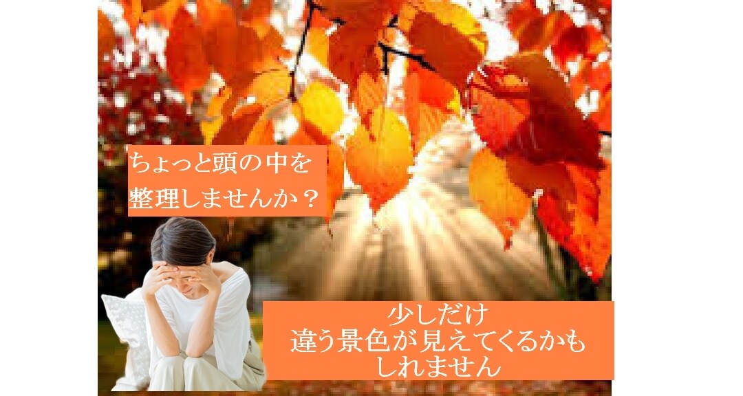 こんな理由で離婚していいの？に答えます もはや何に悩んでいるか？も分からなくなっているあなたへ イメージ1