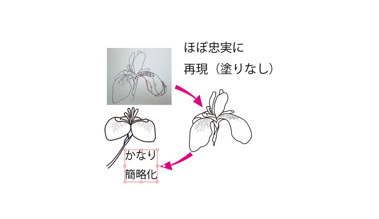 粗い画像や手書きも丁寧にトレースします 翌日納品でも心を込めて仕上げます! イメージ8