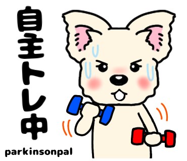 パーキンソン病の方にリハビリメニュー作成指導します 延べ1万人以上のパーキンソン病リハビリ経験者が作成指導します イメージ3
