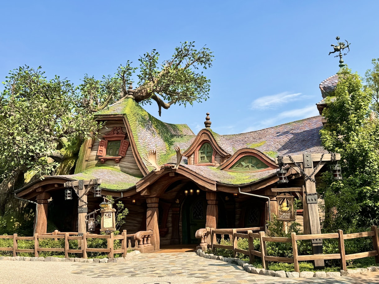 ディズニーランド・シーのご相談、なんでも受けます ♡月2ディズニー♡元年パス持ち♡ディズニーの疑問を解決！ イメージ7