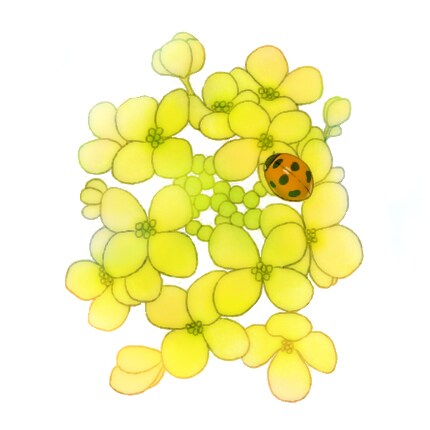 イラスト・アイコンを描かせて頂きます 花や虫のイラストやデフォルメキャラのイラストを描きます イメージ2