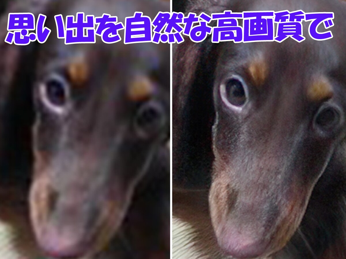 大切なあの子の思い出を、高画質化します 写真のあの子、ぼやけたまま残しますか？ イメージ4
