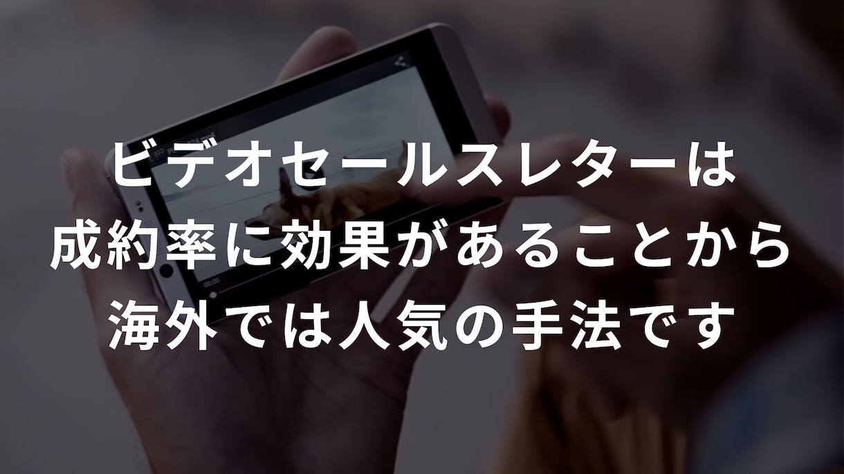 LP・Webページの反応率もっと高める動画作ります サービスの価値を正しく伝え、成約率を上げる動画制作 イメージ7
