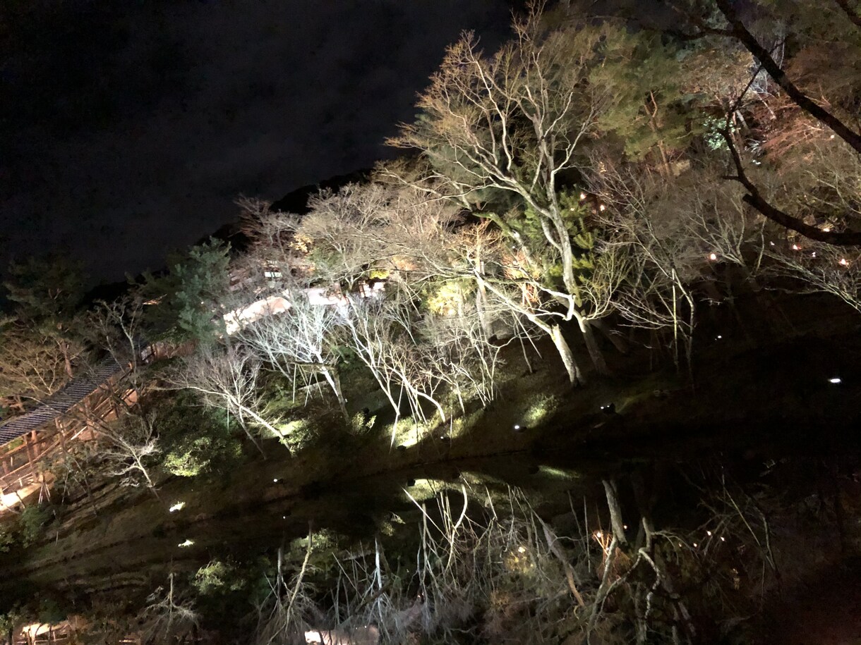 風景画や俳句にお役立ち！京都の絶景をお届けします ご希望の季節、天気、時間に合わせた写真/動画をお送りします！ イメージ5