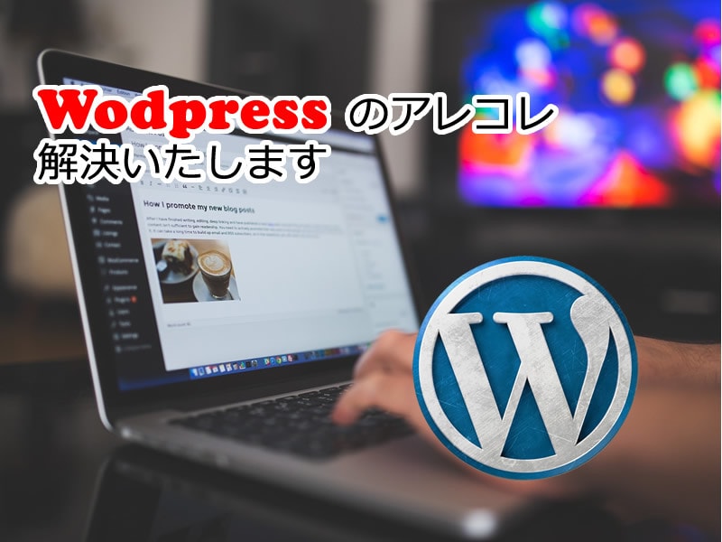 Wodpressのアレコレ解決いたします サイトを作ったけれどちょっとしたことでつまづいているあなたに イメージ1