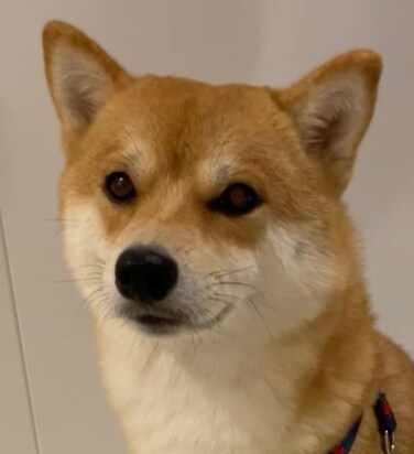 お写真等を元にドット絵を書きます 早い、かわいい、安い！が売りです！(^^) イメージ4