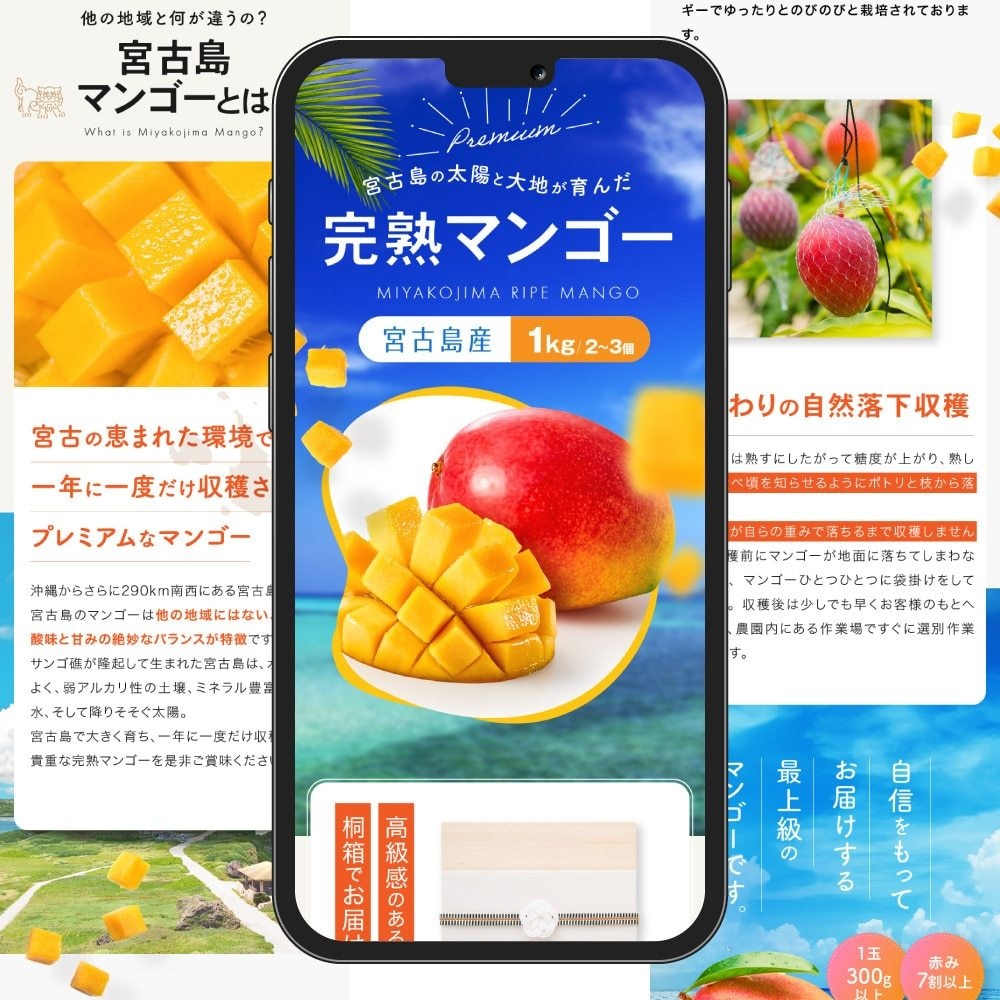 LPのデザインを忠実に再現｜コーディング代行します LPのHTML・CSS・アニメーション実装おまかせください イメージ9
