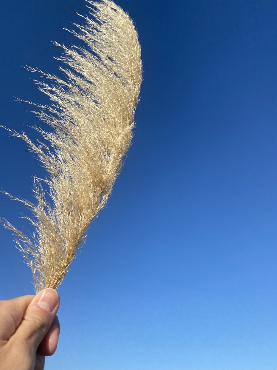 心がスッキリします モヤモヤしていること気軽に話してください。 イメージ2