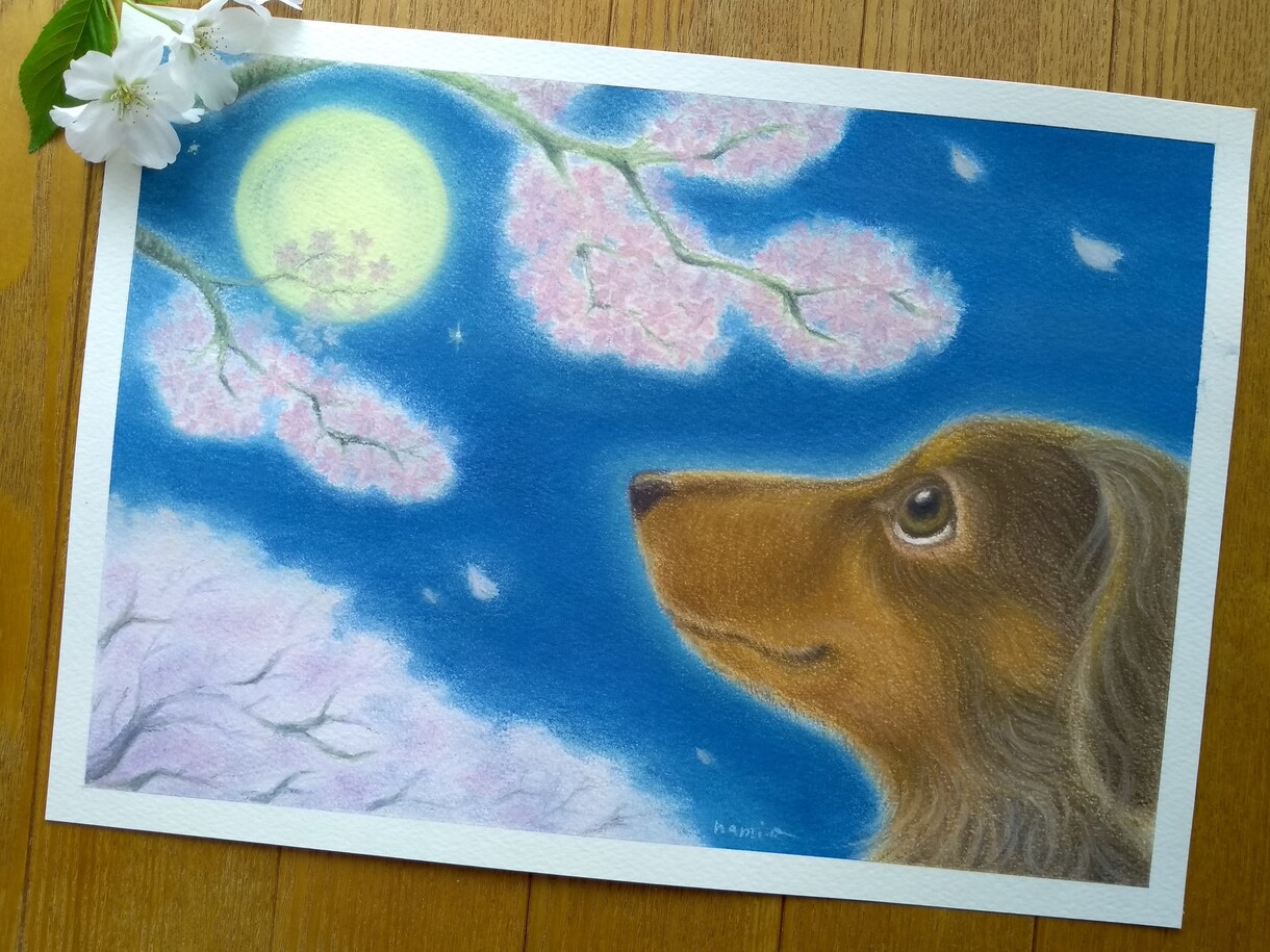 ほっこり暖かいうちの子似顔絵　パステルで描きます 写真には残らない、そのコらしさを一枚の作品に イメージ10