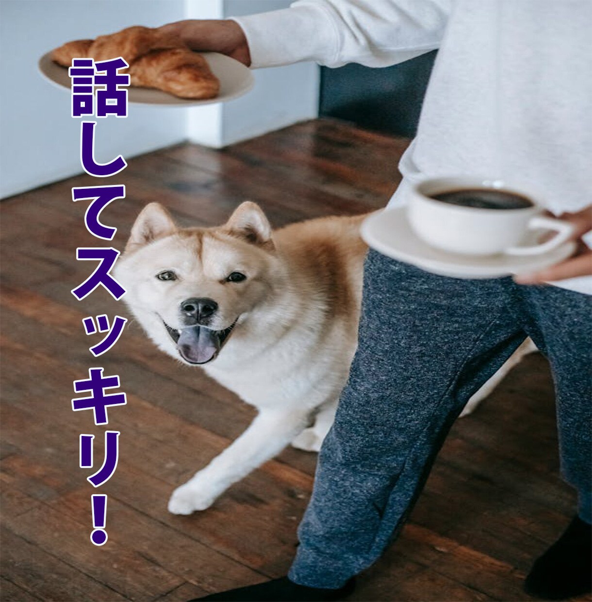 一人で抱え込まないで!心を軽くするお手伝いをします 介護・手話・日常のお悩みなど… あなたの想い、受け止めます イメージ7