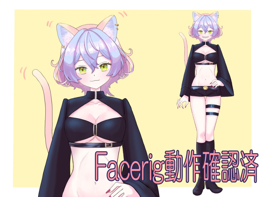 あなただけの２Dキャラクターつくります Vtuberとして活動したい！オリキャラを動かしたい！ イメージ2