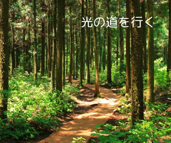 電話ヒーリング✨沈黙集中✨時間の長さ選べます 3分でも30分でも✨電話でヒーリング✨波動上昇で高波動を体感 イメージ4
