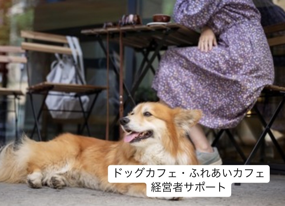犬カフェ経営者のお悩みを解決します 犬の扱い方から犬と来客の関係性作りまで仕組み作りサポート！ イメージ1