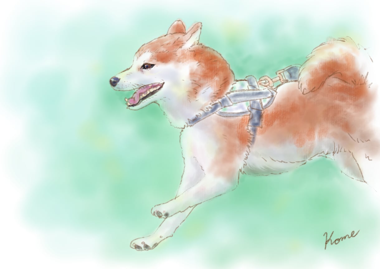 優しいタッチのペットのイラスト作成します 貴方のペットの写真を元にふんわりしたイラストをお描きします。 イメージ1