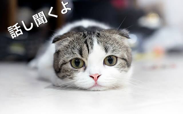 心の便利屋があなたの悩みを聞きます 人間関係や仕事、恋愛、家庭の愚痴や悩み心の便利屋でスッキリ イメージ1