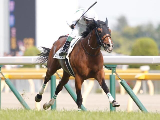 POG2020-2021 厳選リストを提供します POG本、ブログ等から収集した情報よりおすすめをまとめました イメージ1