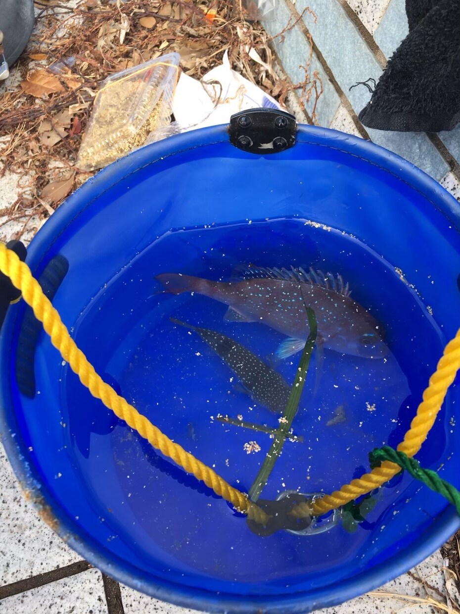 釣り初心者の方、お困り事を究極解決いたします 釣り初心者！釣り始めたい方が使うアドバイザー イメージ2