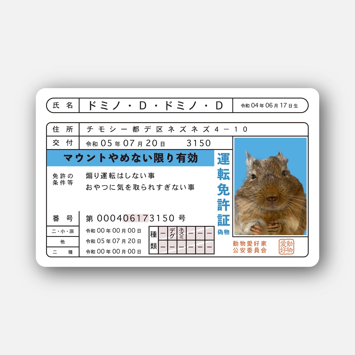 ペット免許証作ります 愛する我が子のお写真だけでOK！ イメージ4