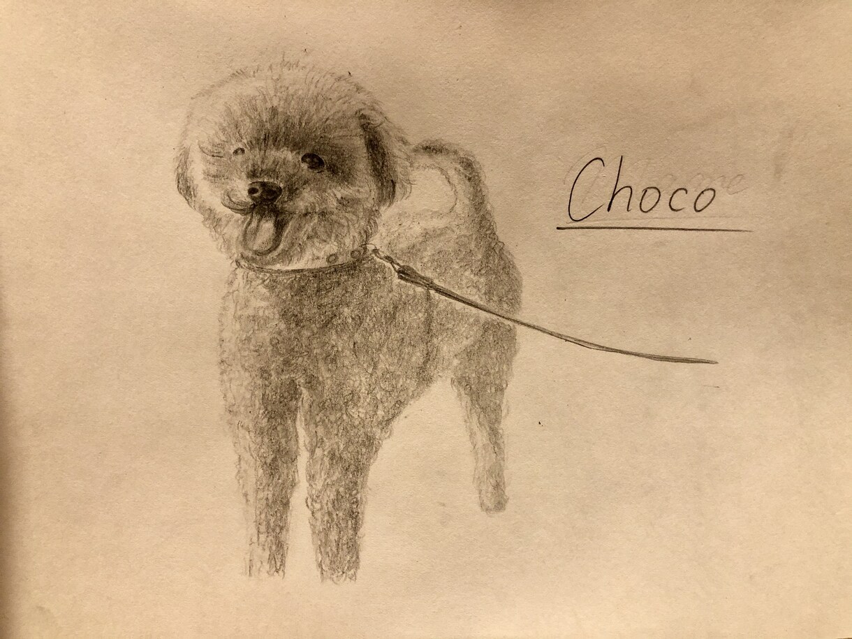 ペット等動物のデッサン、イラストお描きします 大切な家族の思い出を絵に残しませんか？温かい絵お届けします。 イメージ6