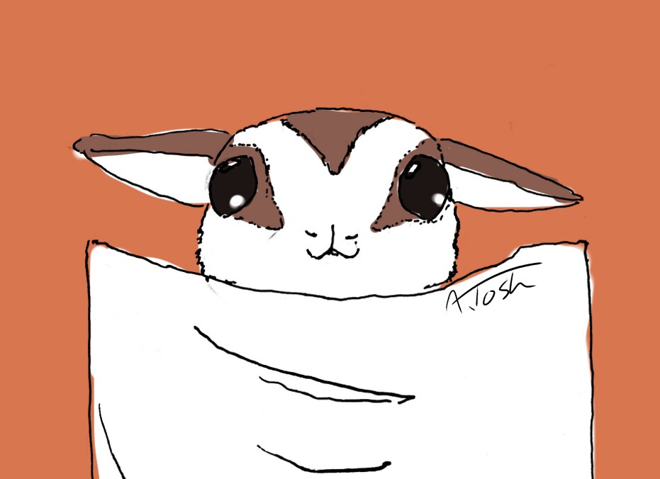 シンプルなペットイラスト描きます 動物達との思い出を切り取る手描きイラストはいかがですか？ イメージ5