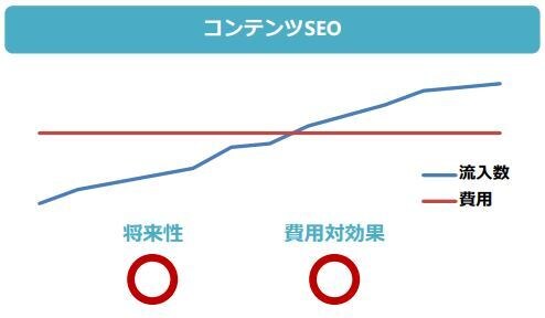 コンテンツSEOマニュアルます グーグル対策用コンテンツSEOマニュアル イメージ2