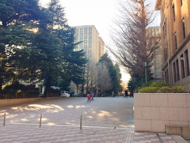 許可制：大学の総合型入試などの裏技を教えます 難関大学志望で志望理由書や面接対策に圧倒的な差を付けたい方 イメージ1