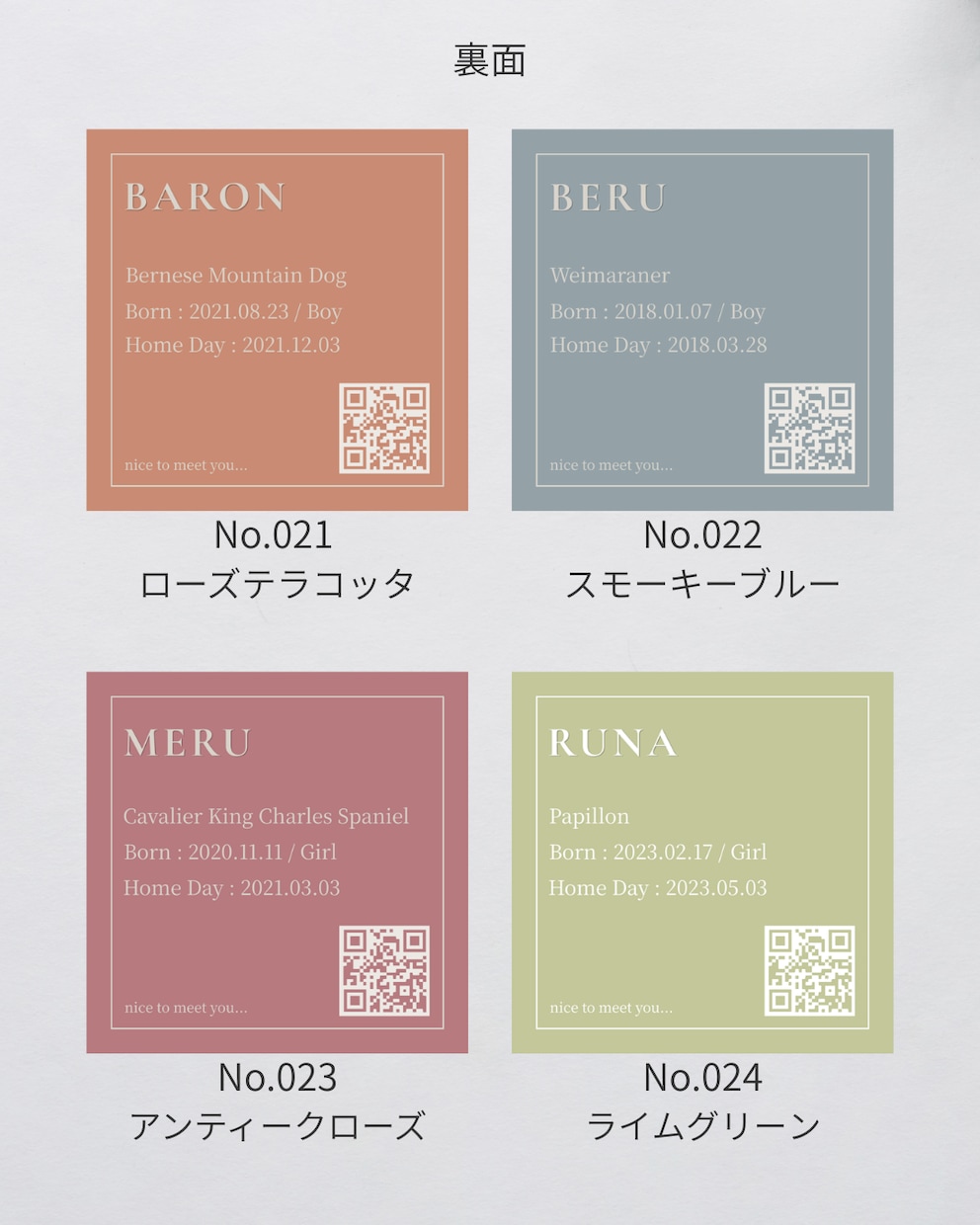 先着10名様限定価格！ペット名刺お作りします スタイリッシュなスクエア型名刺登場！ イメージ7