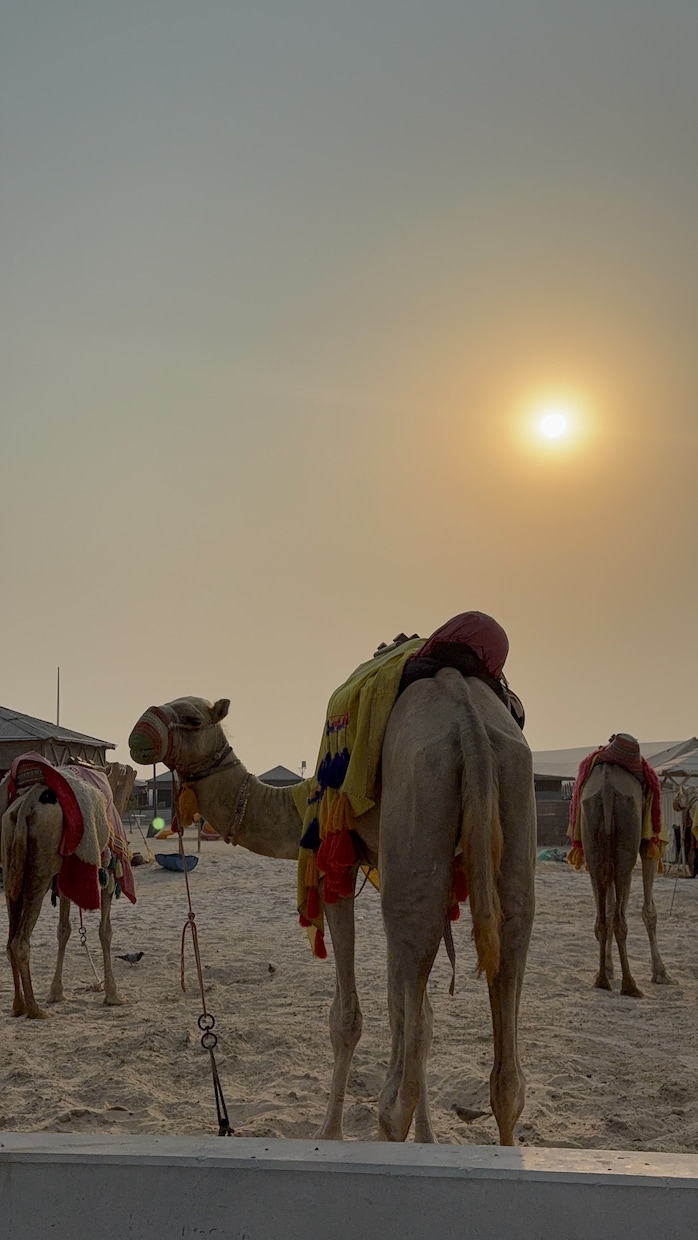 国内旅行、海外旅行どこでも旅行プラン考えます 【あなたに合った素敵な旅考えます✨】 イメージ1