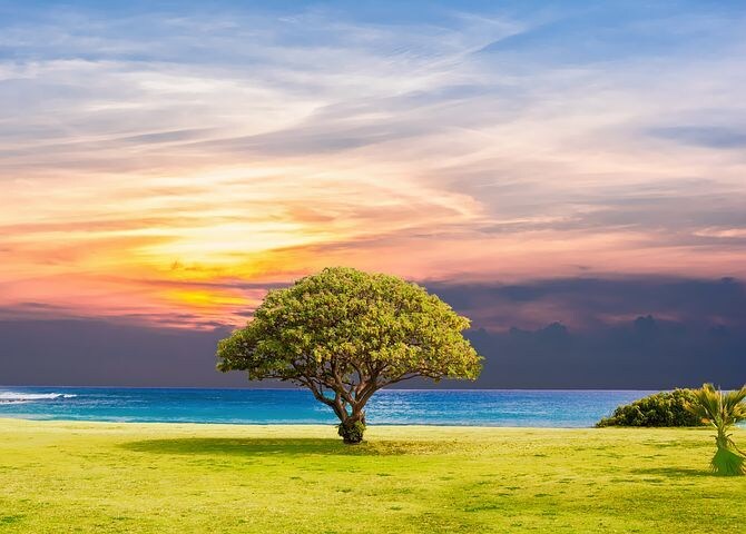 貴方の気になる場所をきれいさっぱり浄化致します 土地浄化致します。自宅、職場、何でもオッケーです。 イメージ1