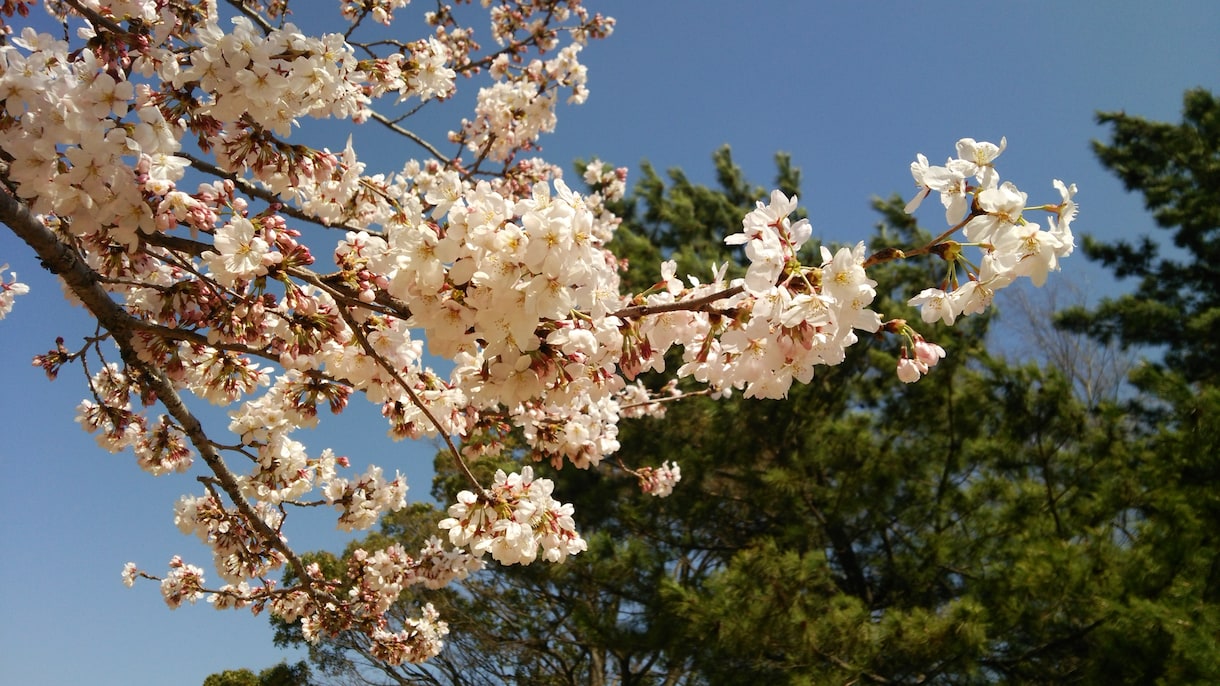 ☆傾聴(愚痴聞きます)☆話してみませんか？ イメージ2