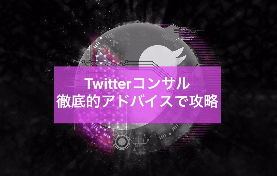 2週間ゆる〜くTwitterコンサルいたします 〜Twitter運用に関するご相談におこたえいたします〜 イメージ1