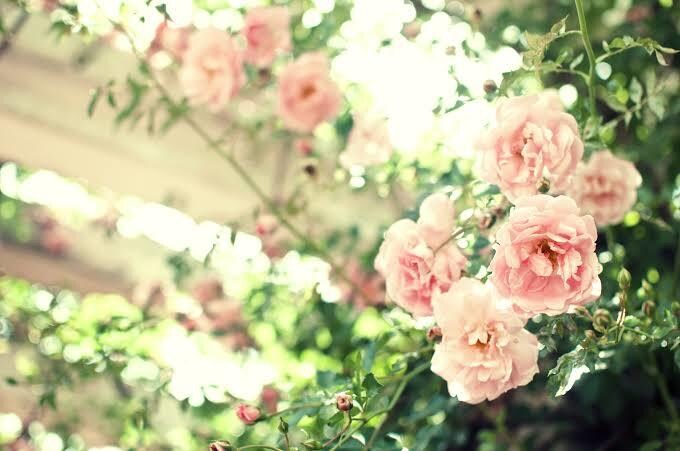 今話したい！悩みや相談がある方に優しく話を聞きます あなたの話しやすい環境を作ります！！ イメージ3